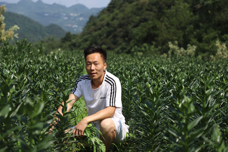 d3607c6839800bee73bf9c78664c3288.png